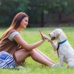 Con chó số mấy? Hé lộ thông điệp đằng sau giấc mơ thấy chó