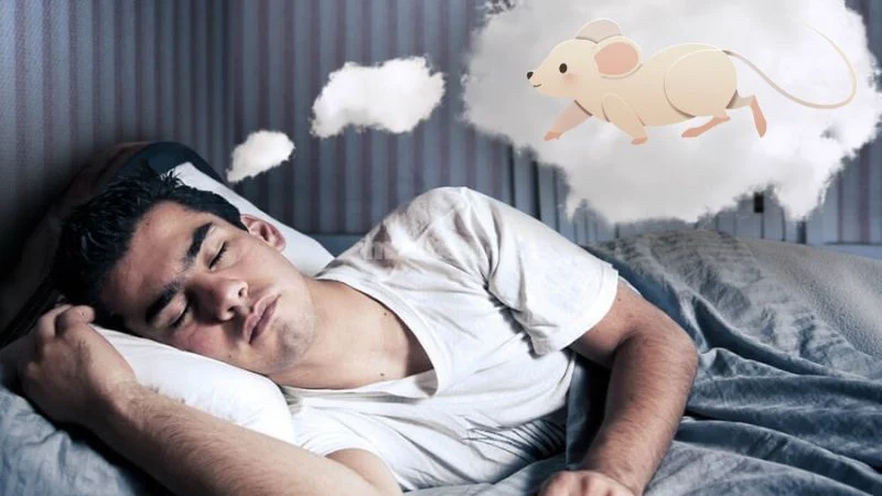 Tìm hiểu ý nghĩa giấc mơ và con số trong tình huống cụ thể